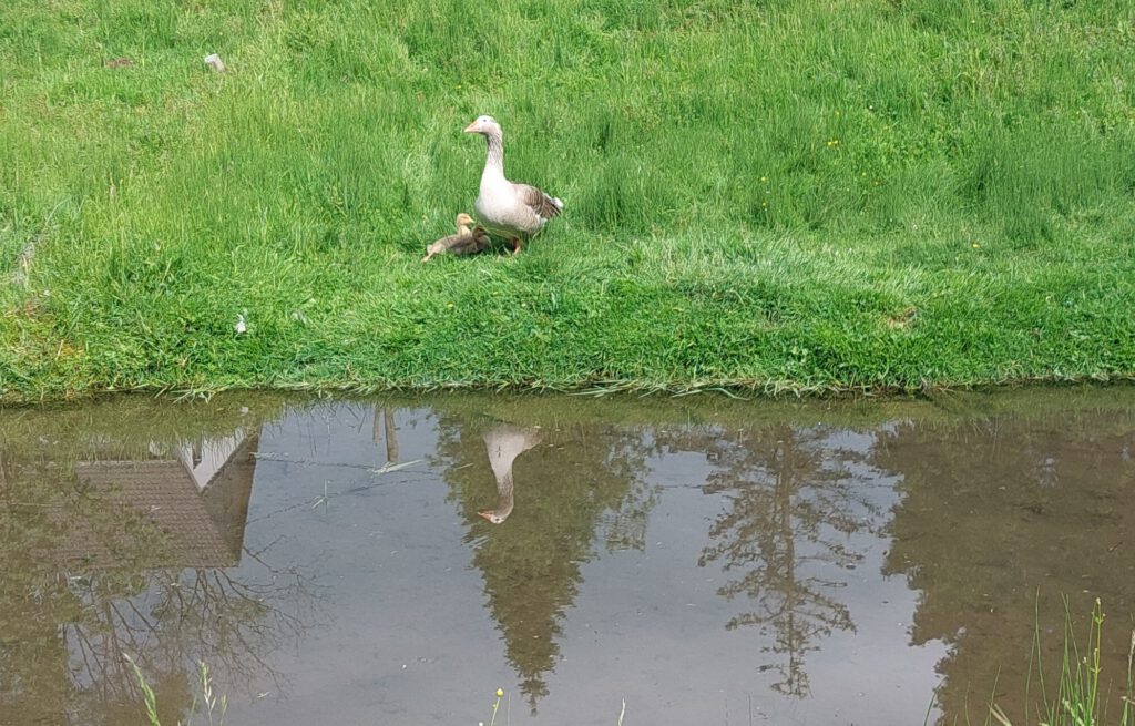 Am Wasser